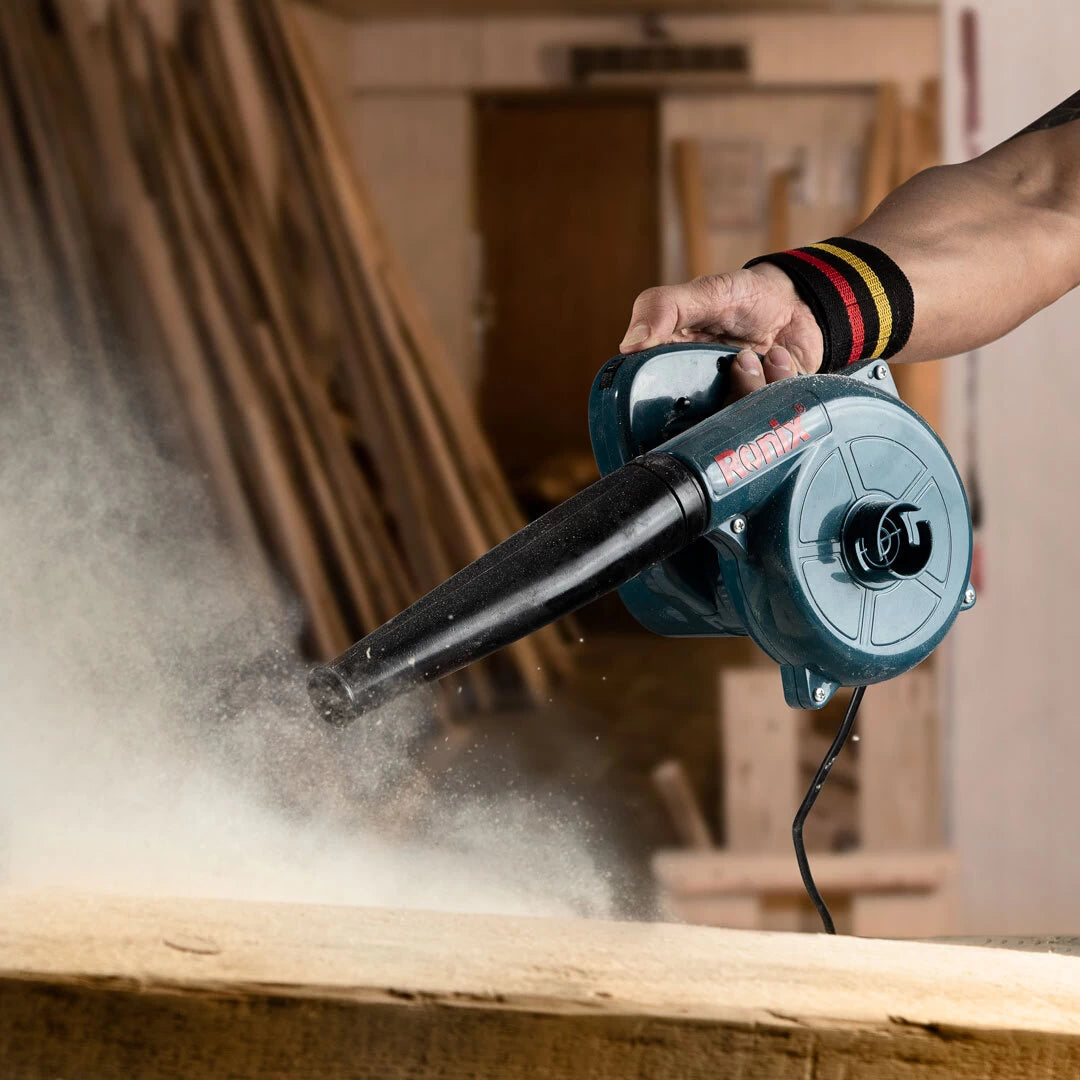 SOPLADOR ELECTRICO POTENCIA 400 W