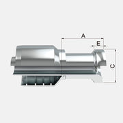 BRIDA RECTA ESTILO SUPERCAT